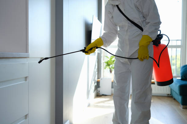 Best Crawl Space Mold Removal  in Silver Lake, NC